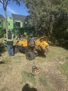 Business queued-photos - JP Tree Services