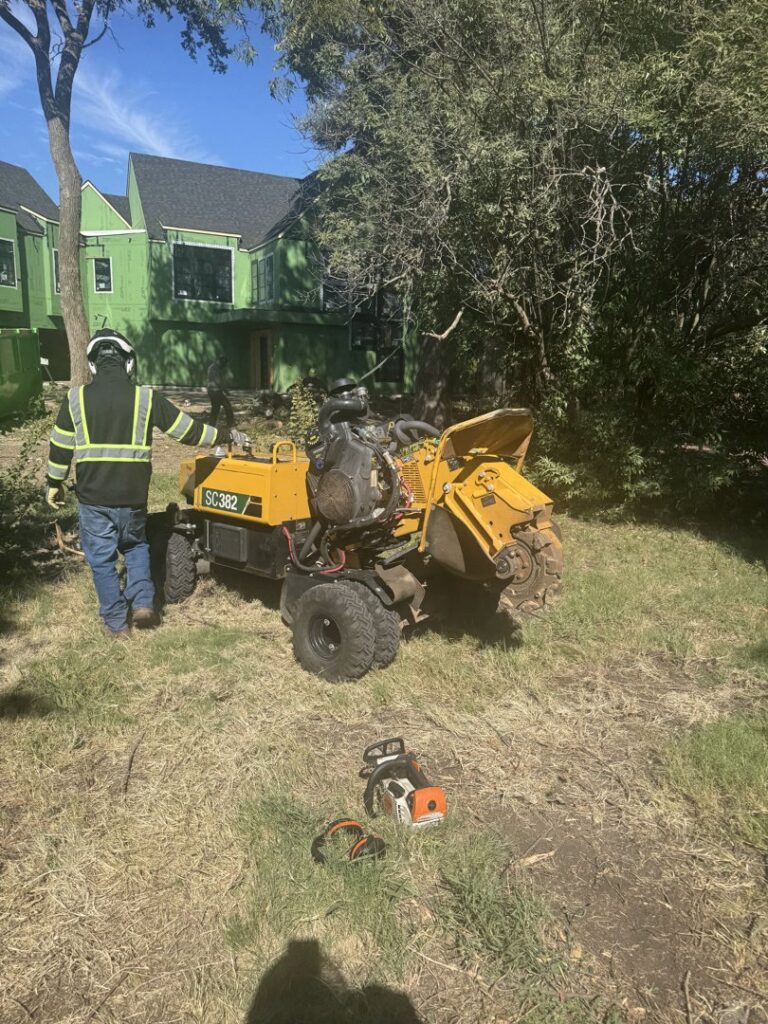 Business queued-photos - JP Tree Services
