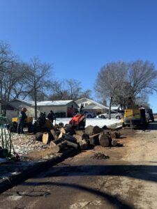 Business queued-photos - JP Tree Services