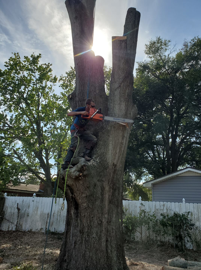 Business queued-photos - 904tree.com