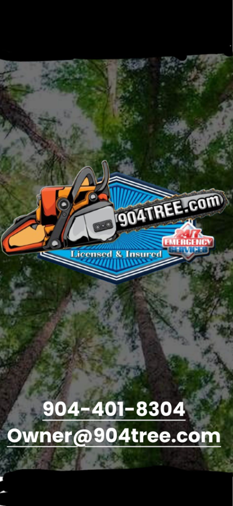 Business queued-photos - 904tree.com