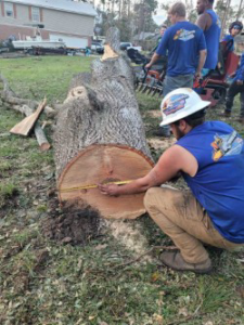 Business queued-photos - 904tree.com