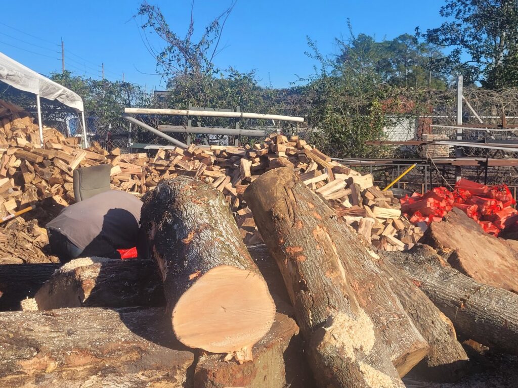 Business queued-photos - 904tree.com