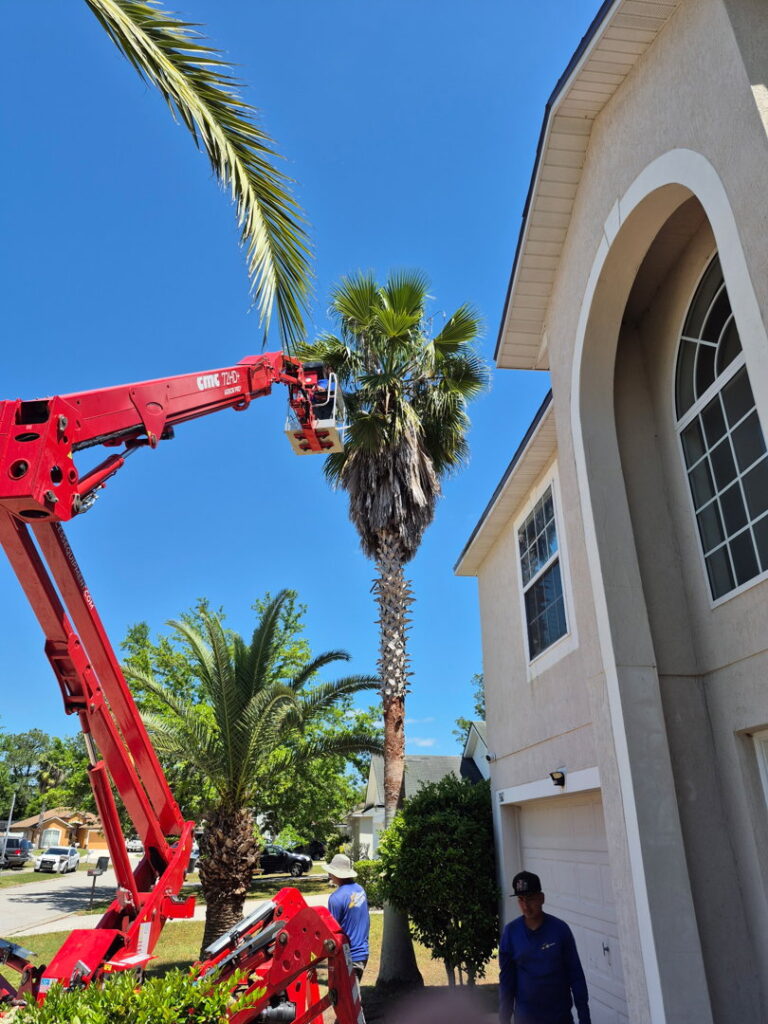 Business queued-photos - 904tree.com