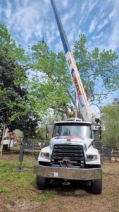 Business queued-photos - 904tree.com