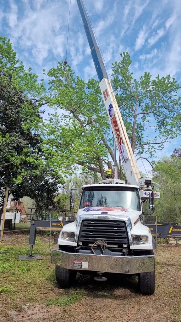 Business queued-photos - 904tree.com