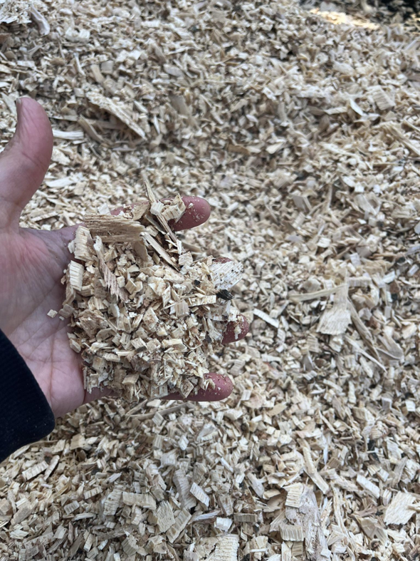 Business queued-photos - MTM Tree Services