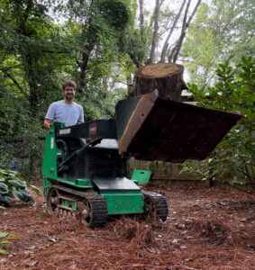 Business queued-photos - MTM Tree Services