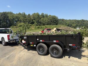 Business queued-photos - MTM Tree Services