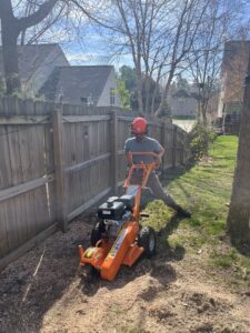 Business queued-photos - MTM Tree Services