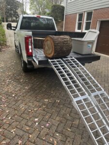 Business queued-photos - MTM Tree Services