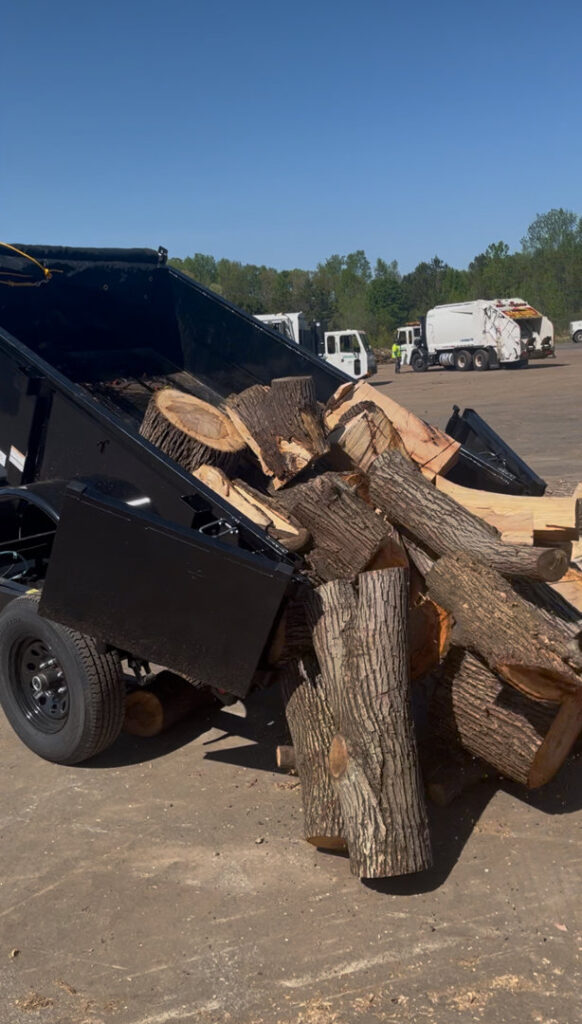 Business queued-photos - MTM Tree Services