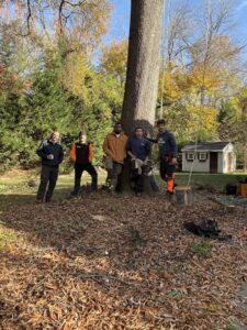 Business queued-photos - MTM Tree Services