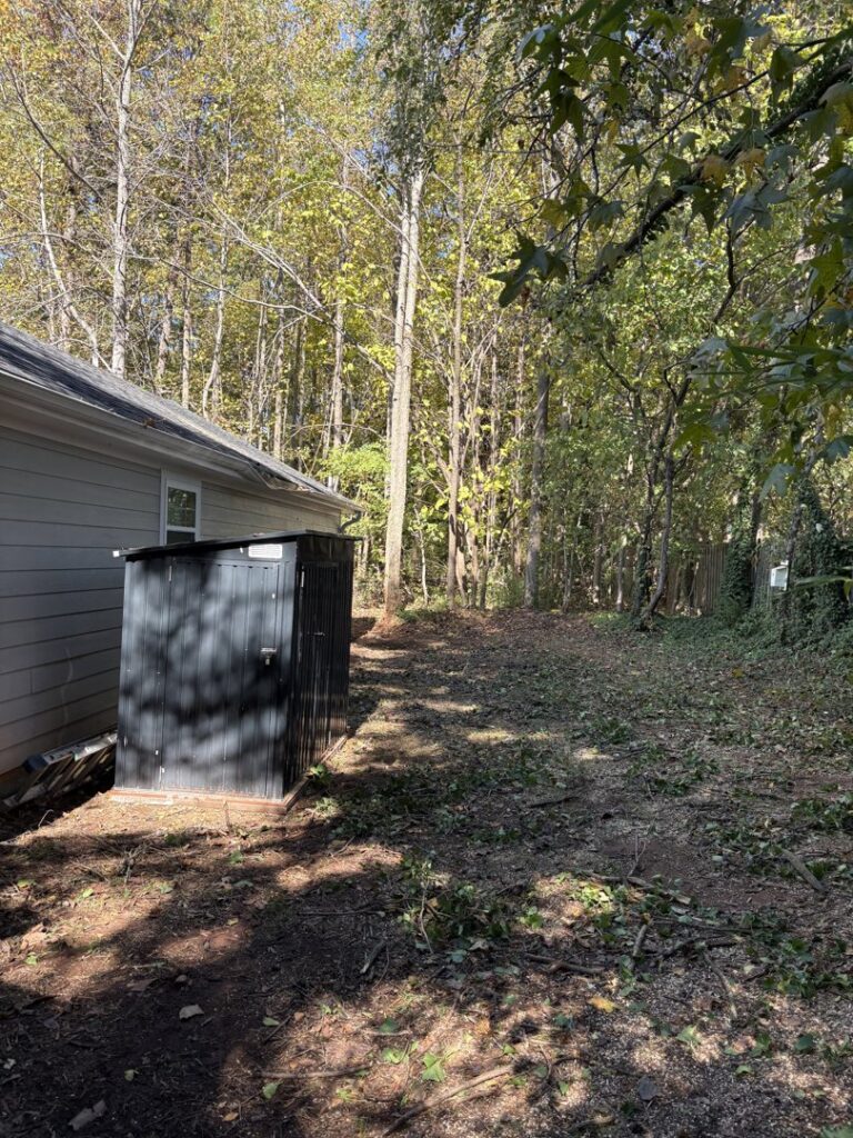 Business queued-photos - MTM Tree Services