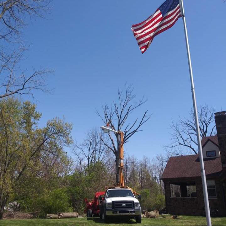 Business queued-photos - ArborMac LLC