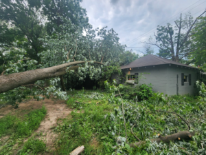 Business queued-photos - ArborMac LLC