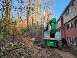 Business queued-photos - ArborMac LLC