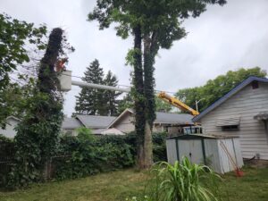 Business queued-photos - ArborMac LLC