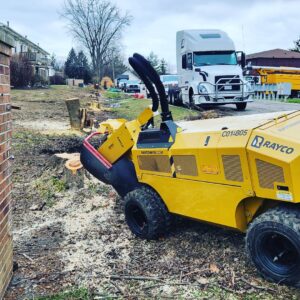 Business queued-photos - ArborMac LLC