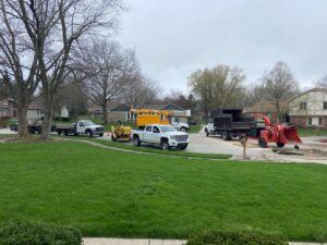 Business queued-photos - ArborMac LLC