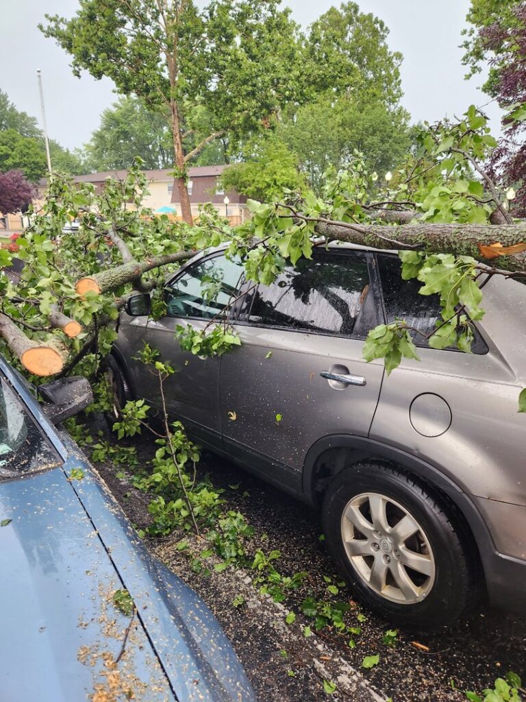 Business queued-photos - ArborMac LLC