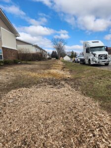 Business queued-photos - ArborMac LLC