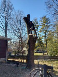 Business queued-photos - ArborMac LLC