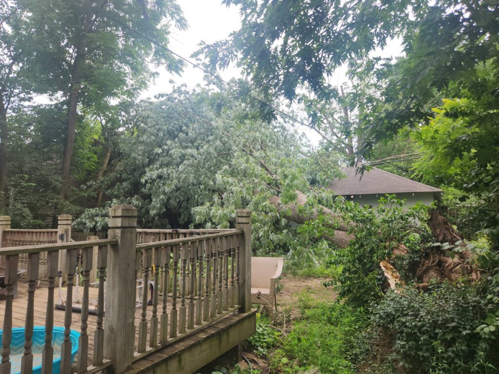 Business queued-photos - ArborMac LLC