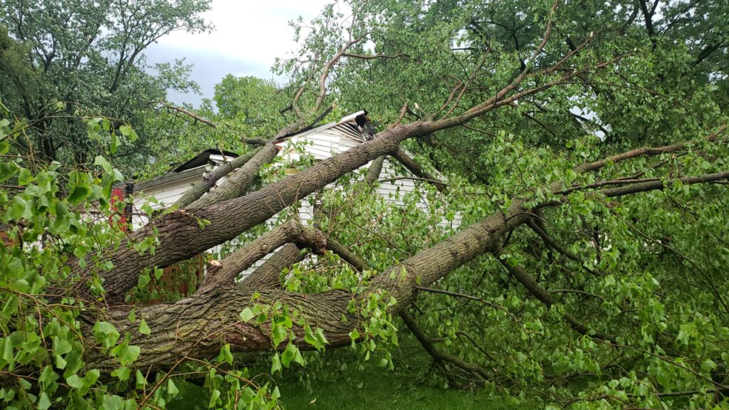 Business queued-photos - ArborMac LLC