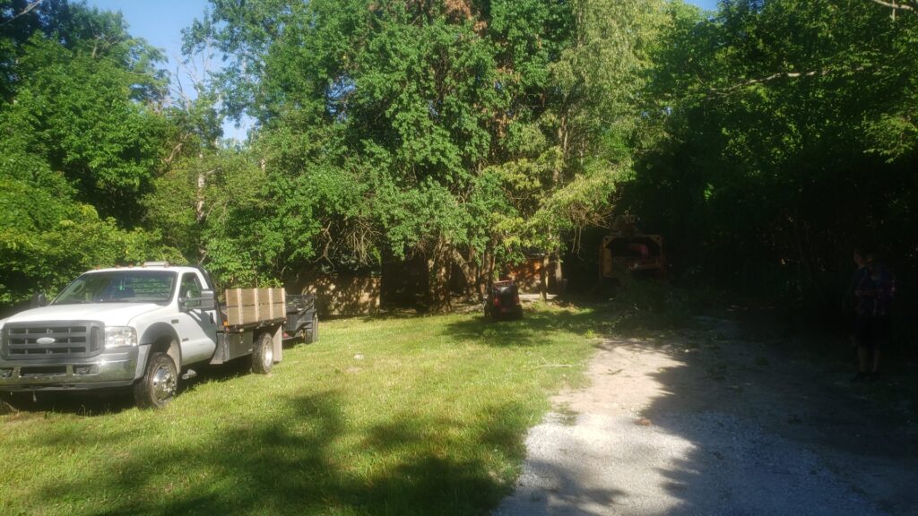 Business queued-photos - ArborMac LLC