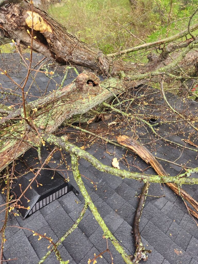 Business queued-photos - ArborMac LLC