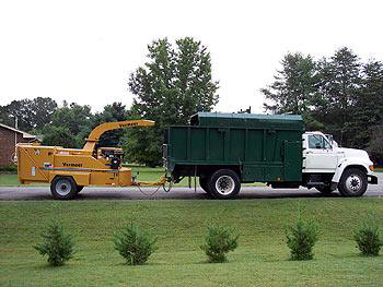 Business queued-photos - All Arbor Tree Care