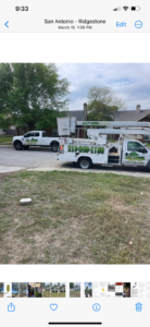 Business queued-photos - All Arbor Tree Care