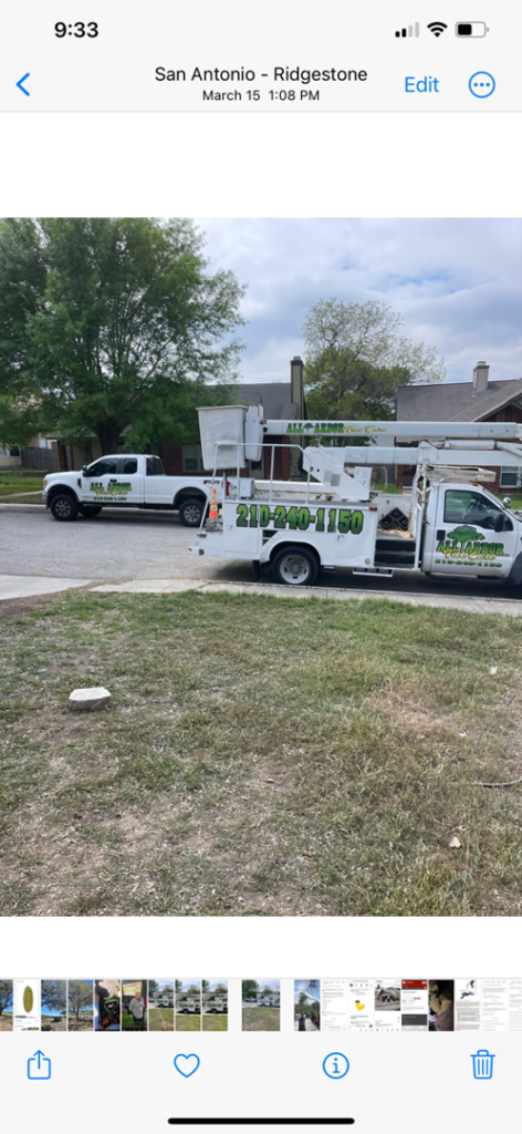 Business queued-photos - All Arbor Tree Care