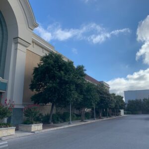 Business queued-photos - All Arbor Tree Care