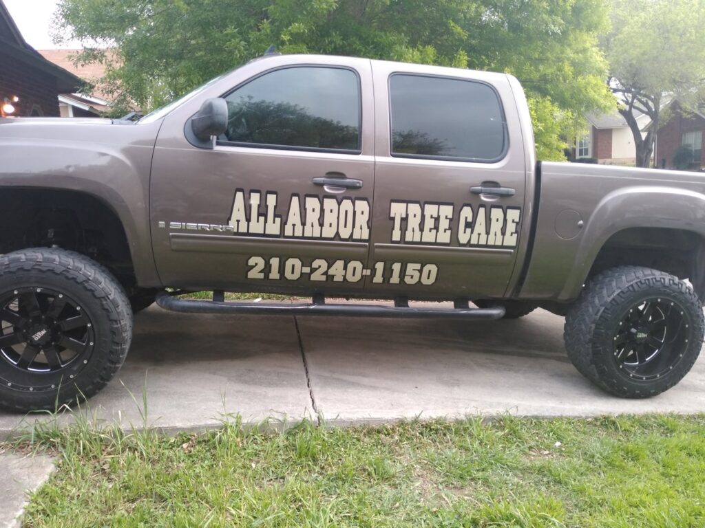 Business queued-photos - All Arbor Tree Care