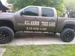 Business queued-photos - All Arbor Tree Care