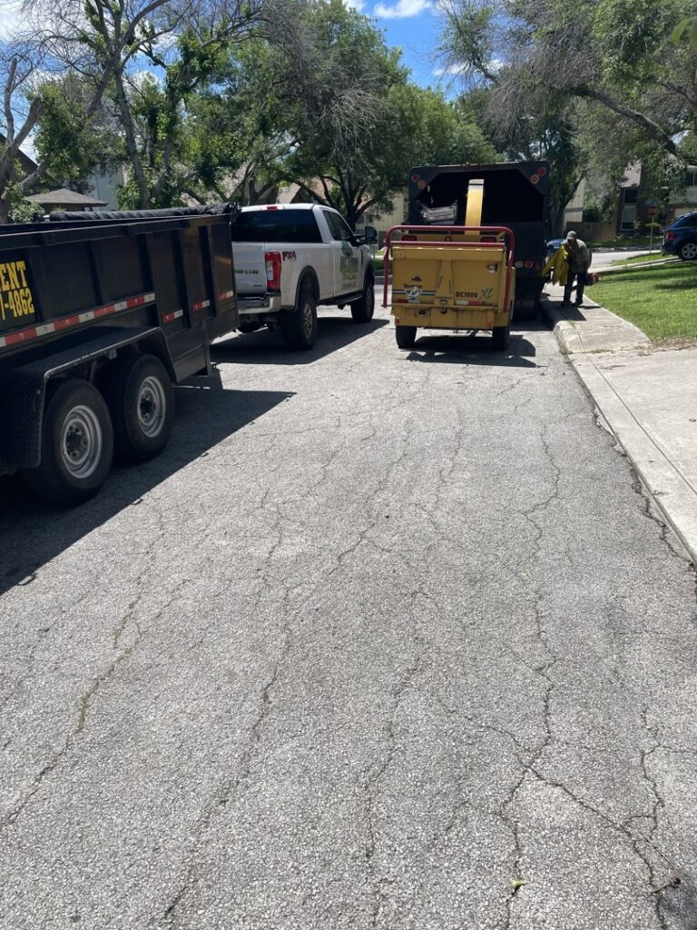 Business queued-photos - All Arbor Tree Care