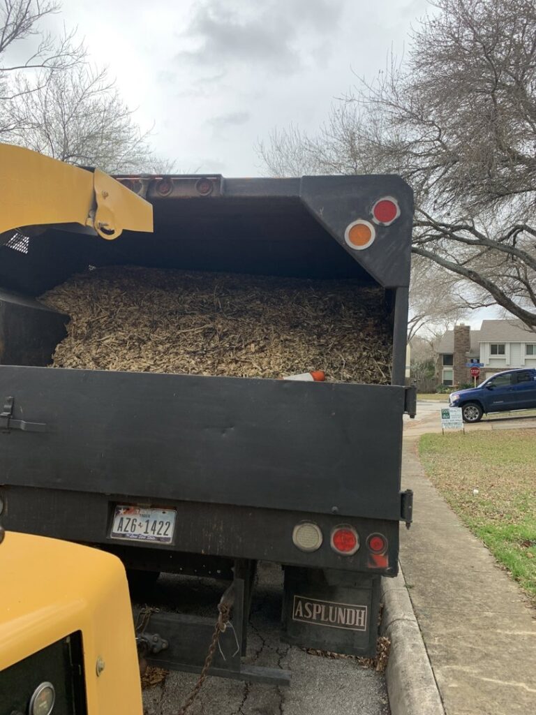 Business queued-photos - All Arbor Tree Care