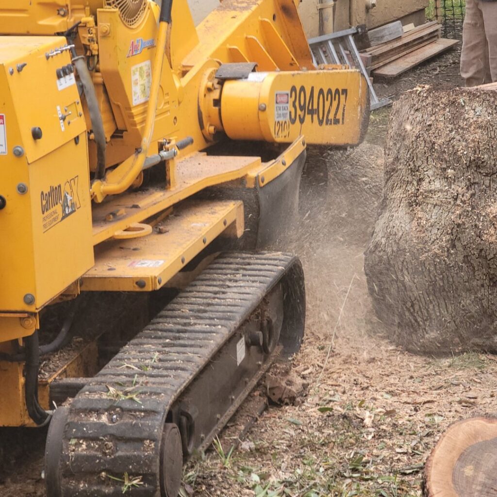 Business queued-photos - All Arbor Tree Care
