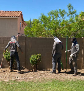 Business queued-photos - Dan’s Tree Service