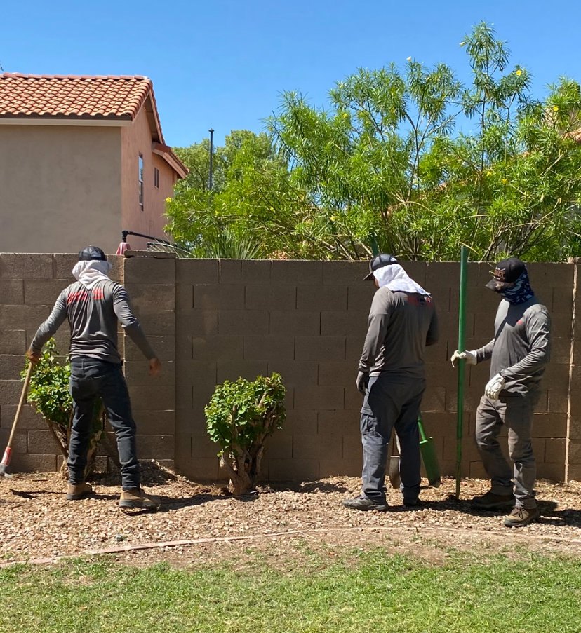 Business queued-photos - Dan’s Tree Service