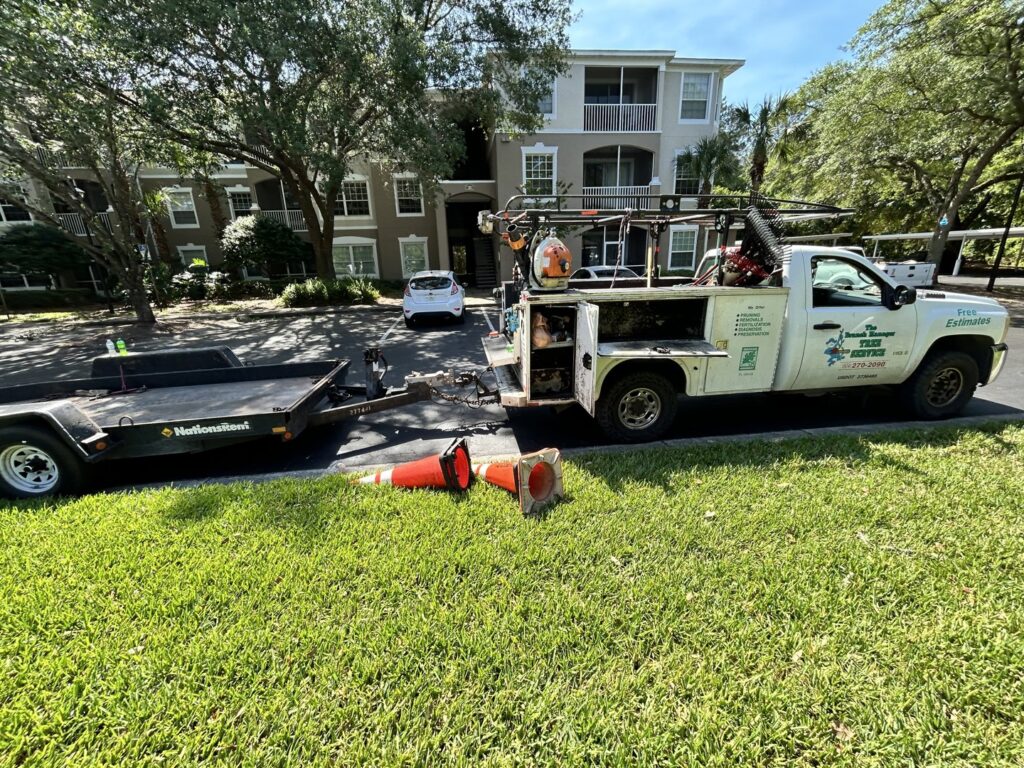 Business queued-photos - The Branch Manager Tree Service