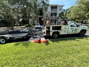 Business queued-photos - The Branch Manager Tree Service