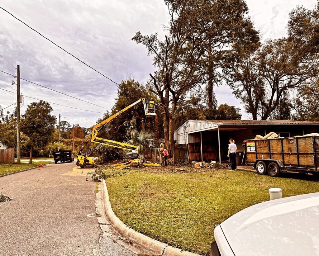 Business queued-photos - The Branch Manager Tree Service