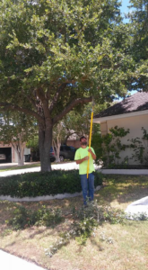 Business queued-photos - Precision Landscape and Tree Service