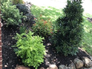 Business queued-photos - Precision Landscape and Tree Service
