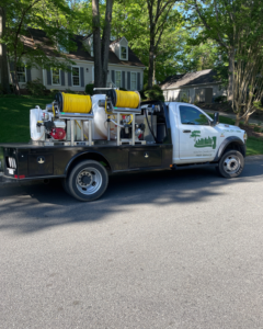 Business queued-photos - South Charlotte Tree Service