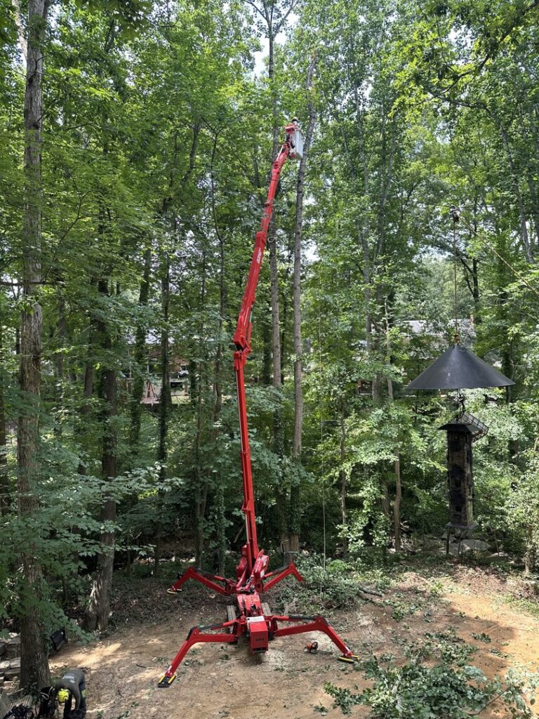 Business queued-photos - South Charlotte Tree Service