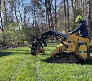 Business queued-photos - South Charlotte Tree Service